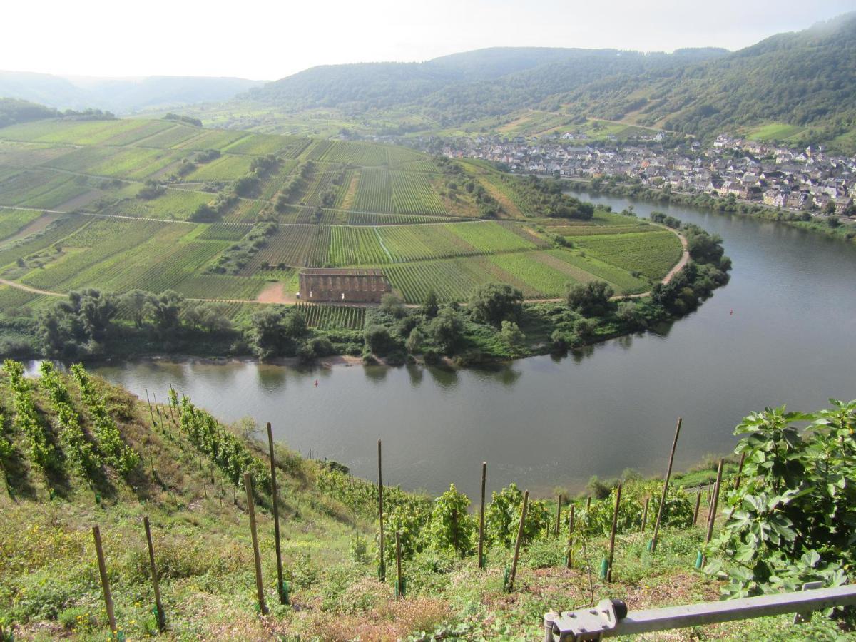 Ferienhaus Leopold Mit Burgblick An Der Mosel Burgen (Mayen-Koblenz) Exterior foto