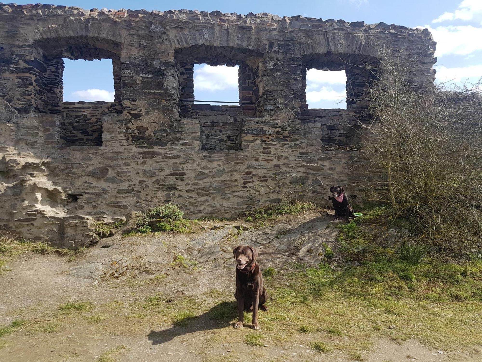 Ferienhaus Leopold Mit Burgblick An Der Mosel Burgen (Mayen-Koblenz) Exterior foto